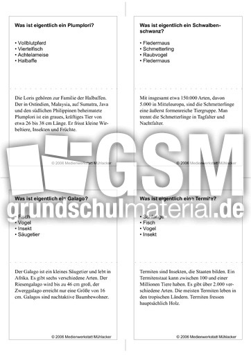 Quiz-Karten-Tiernamen 50.pdf